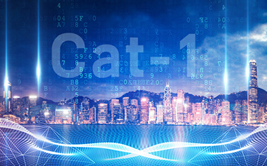 工信部重磅发文，Cat-1/NB-IoT再次站上新风口